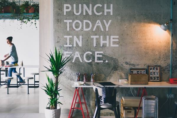 Punch today in the face written on a wall